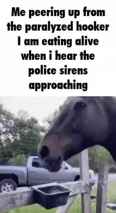 interrupting my meal 💔