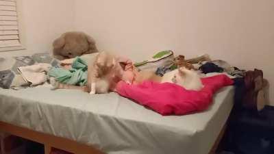 Oh god they're everywhere!!!