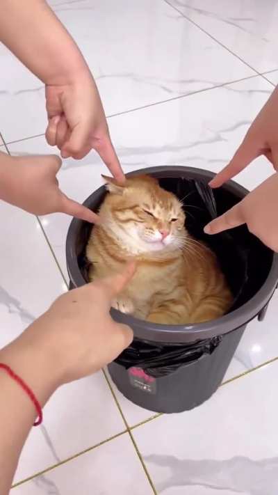 KokinhaePavin - Video #7194