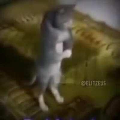 only ALLAH protect me