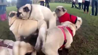 Let's take a group photo..