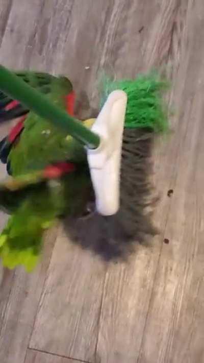 Why am I putting you in the cage during the day on cleaning day? I have no idea...