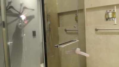 canilive601 - Video #5247