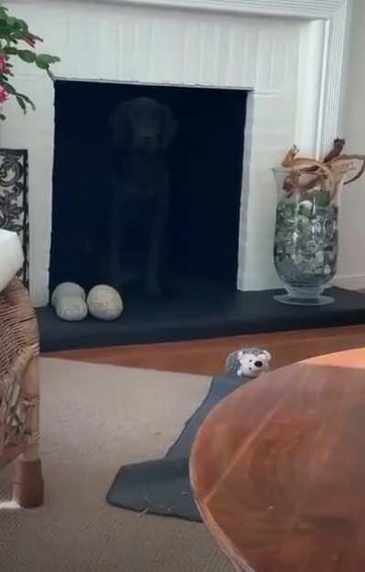 Raven- we’re going to nerf the Roze skin. Also Raven-