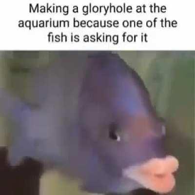 I DID NOT FUCK MY FISH I DID MOT PUT MY DICK NEAR MY FISH (1/??)