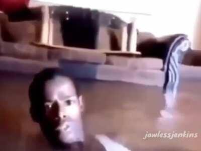 viviendo la vida perfecta