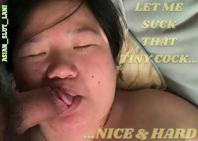 Let me suck that tiny cock…nice & hard