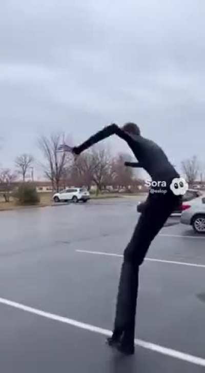 Is this AI? Isn't SkyDancer also a real profession in the US, just like in Europe?