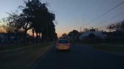 un dinosaurio en la parada de colectivo