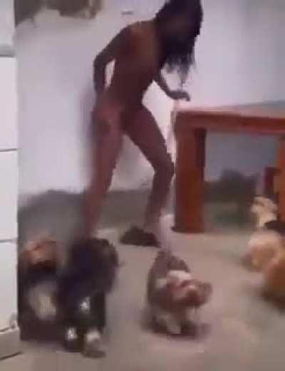 Relax. They just want to play ☹️