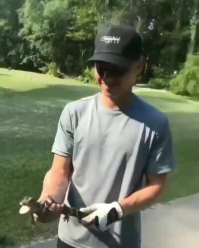 Ah yes take the croc’s child