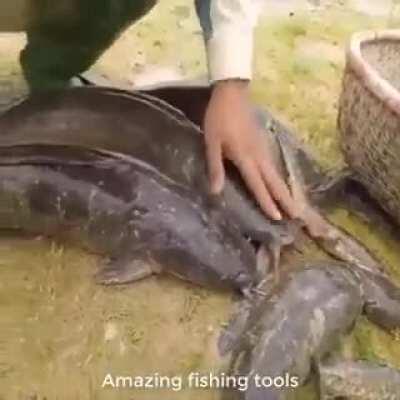 Рыбакам на заметку