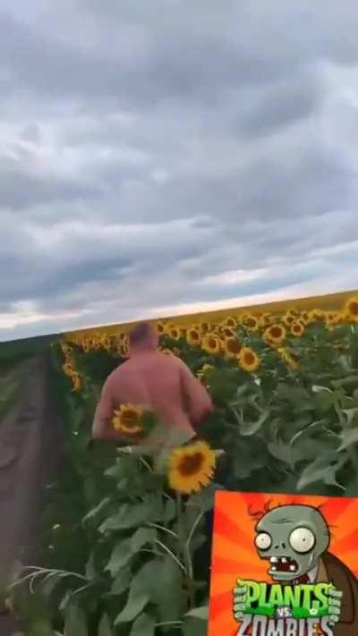 ILHADOKONG - Video #9227