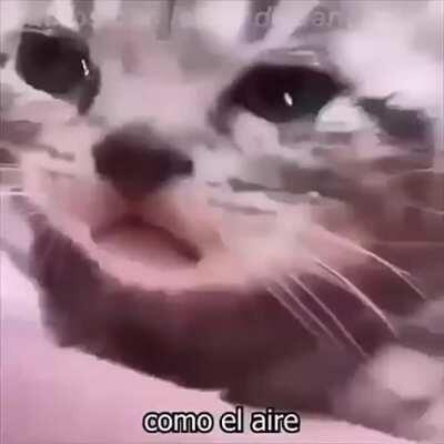 ;-; (quase choro :'p)