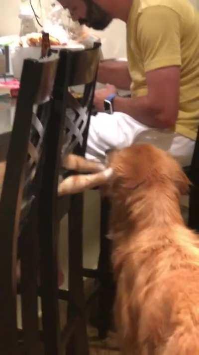 When you’re just minding your business begging for rice, and your brother won’t stop trying to rip your ear off.