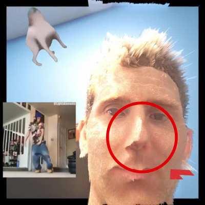 leenus displacement tips