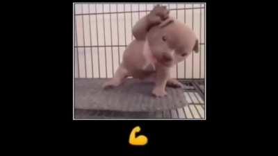 La infancia de princesa