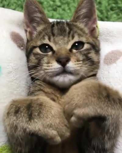 Curled then Curledier!