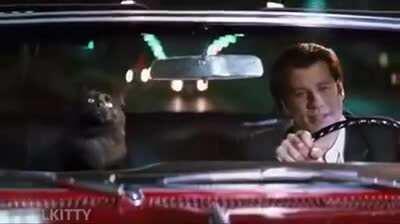 Purr Fiction by Tentin Quarantino