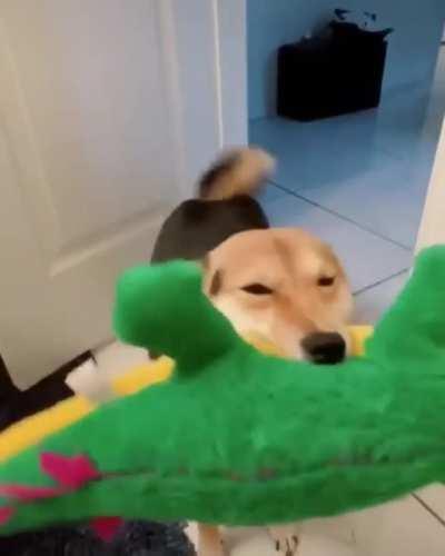 Wiggle wiggle wiggle