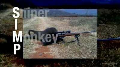 I don’t need to explain this