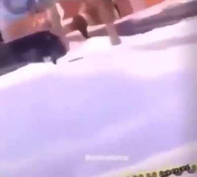 Bro not built for this life😭😭😭