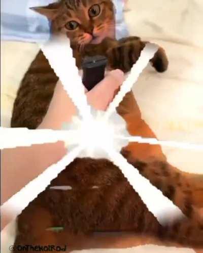 Im just posting this here…