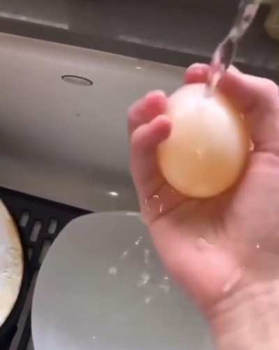 Egg