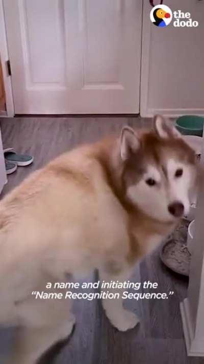 Helpful instruction manual