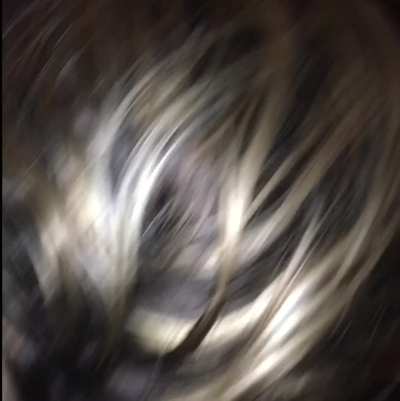 Cant get enough of sucking my young friends thick cock..hub calling but going to voicemail..doesn’t he realize Im busy?😈