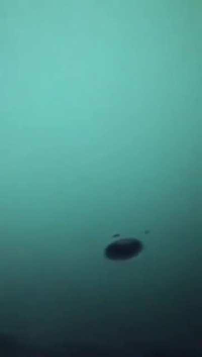 WCGW Putting you PeePee through a hole.