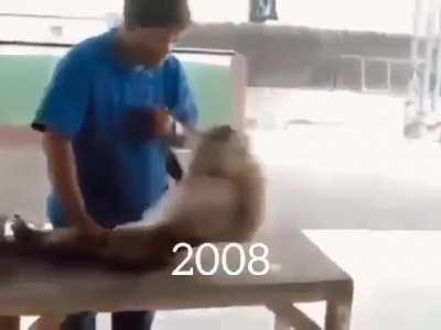 monke evolution🐵🐵