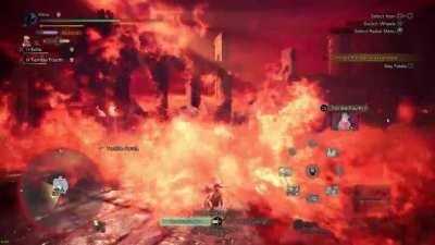 Sharing in a grand moment against Fatalis with some randoms