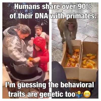 Further signs of social decline.