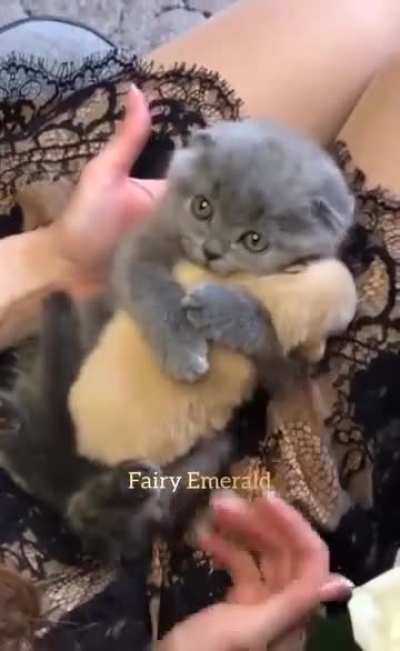 Match made in heaven.