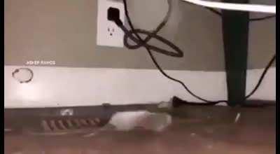 You can call that mental freeze