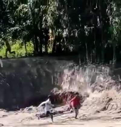 Tiger chases a guy into a pit
