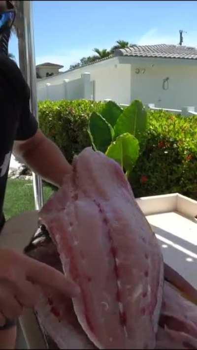 Thanks I hate fish now