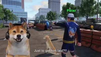 Is this what Doge does nowadays