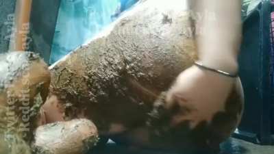 I look so sexy covered in shit [F]