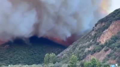 Saint-Florent, Corsica, France - Forest fire reported - October 5 2025
