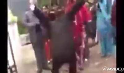 Spicy Tripper Snipper