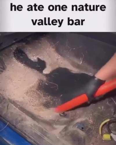 I just don't understand how there's so much mess in that little bag