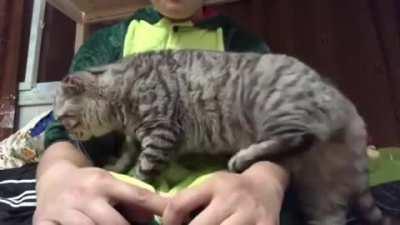 I'm just gonna sneak on to your lap here