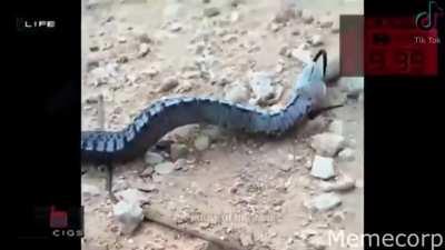 I’m not sure if this was posted here but it had me cracking up