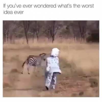 Getting attacked by lions