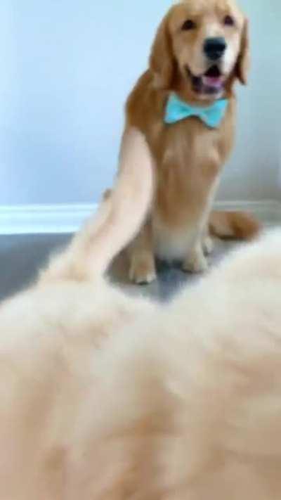 Time for a photo (behind the scenes)