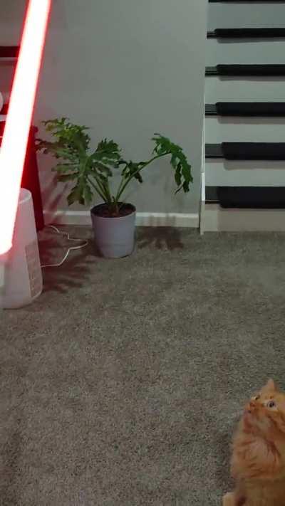 He thought he was the chosen one.