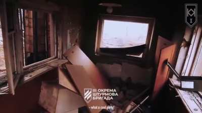 Summary of the combat work of the 1st Mechanized Battalion of the 3rd Assault Brigade. [Published 17.02.2025]