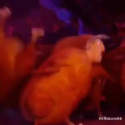 I'm 15 and this is yeet